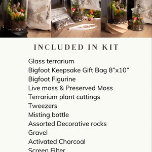 Terrarium Kit DIY Gift for Plant Lover Mini Terrarium with live moss, terrarium plants, zen garden diy kit terrarium gift for Dad image 3