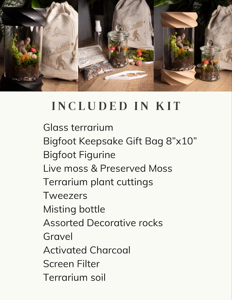 Terrarium Kit DIY Gift for Plant Lover Mini Terrarium with live moss, terrarium plants, zen garden diy kit terrarium gift for Dad image 3