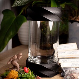 Terrarium Kit DIY Gift for Plant Lover Mini Terrarium with live moss, terrarium plants, zen garden diy kit terrarium gift for Dad Large Terrarium