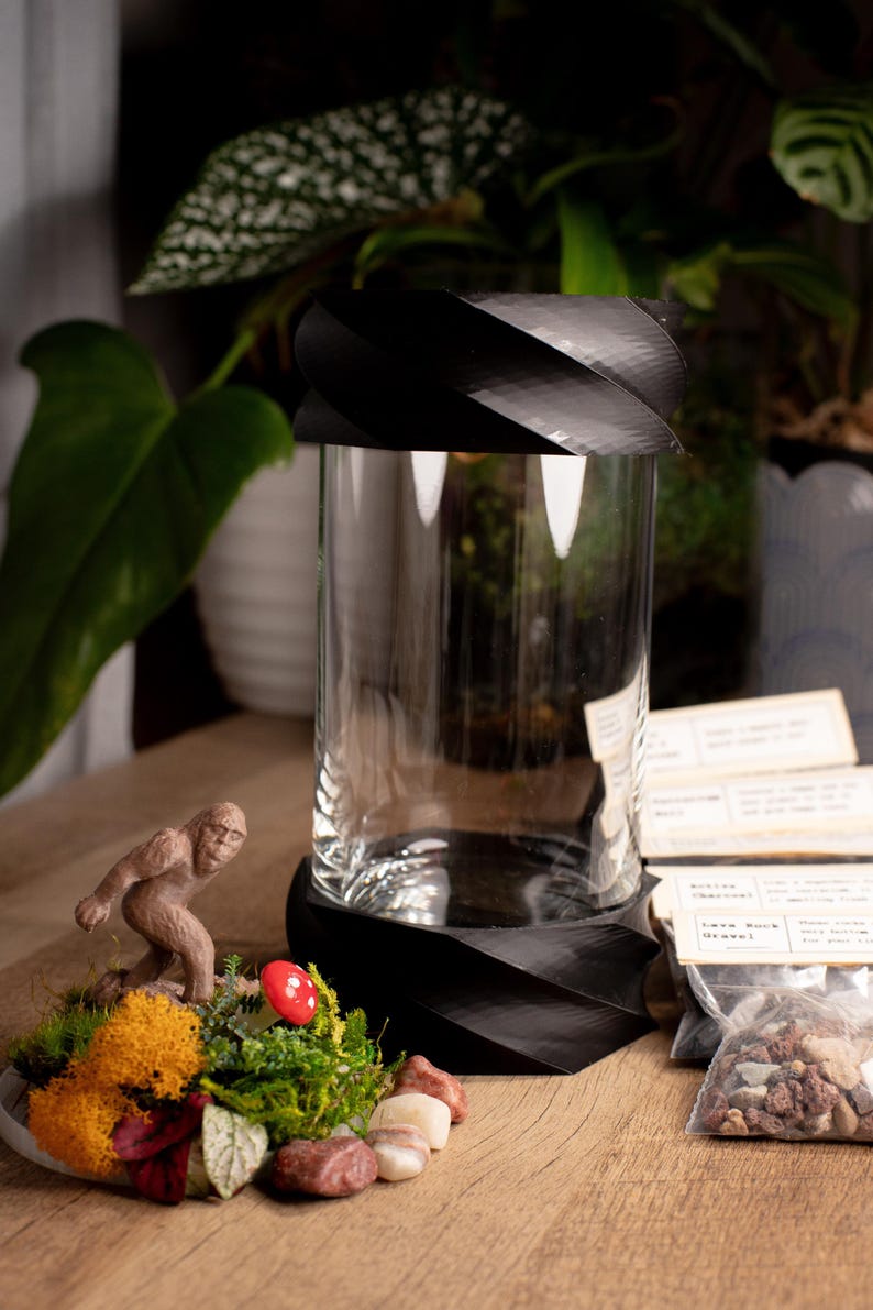 Terrarium Kit DIY Gift for Plant Lover Mini Terrarium with live moss, terrarium plants, zen garden diy kit terrarium gift for Dad Large Terrarium