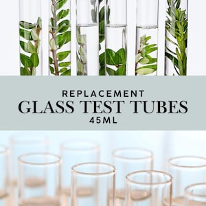 Replacement Glass Test Tubes 45ml | Plant Propagation Tubes | Herb Holder Glass Vials | Water Propagation Vases | Optional Cleaning Brush
