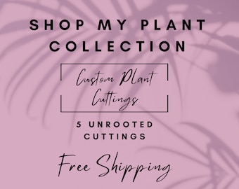Custom Plant Cuttings for Propagating Gift for Plant Lover Unrooted House Plant Cuttings Pick Your Own House Plant Bundle Hoyas Pothos Etc