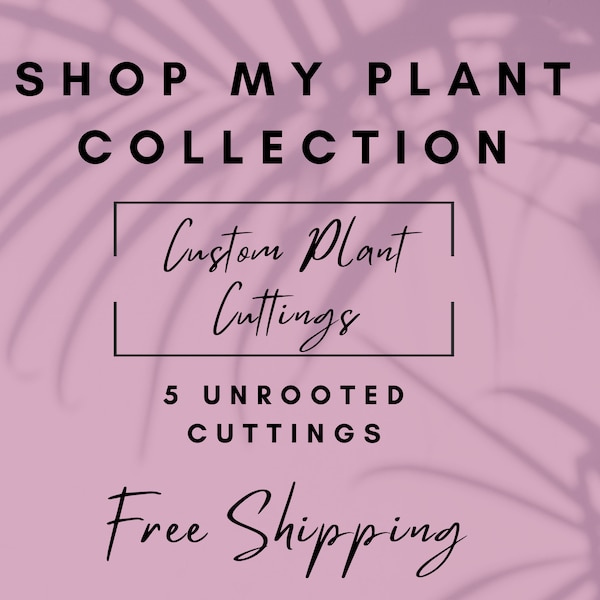 5 Custom Plant Cuttings for Propagating, Unrooted House Plant Cuttings, Pick Your Own