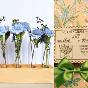 May include: A floral arrangement featuring blue carnations in glass tubes set in a wooden holder. A card with the text "PLANTYGRAM" and a green ribbon are also visible. The card reads "From: Chad To: Olivia".