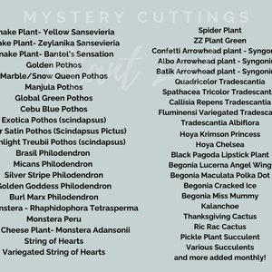 May include: A list of various plant cuttings, including Snake Plant, Pothos, Philodendron, and more. The text is in a handwritten style on a light green background. The list includes both common and unique plant varieties.