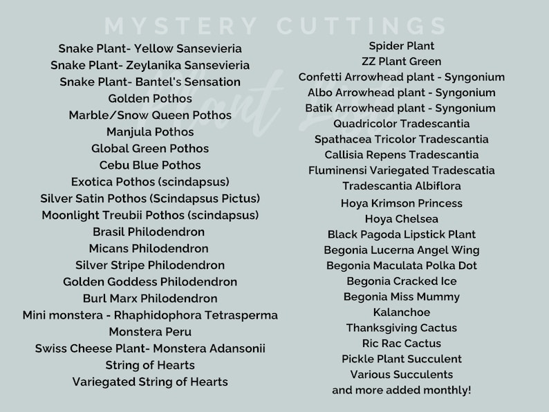May include: A list of various plant cuttings, including Snake Plant, Pothos, Philodendron, and more. The text is in a handwritten style on a light green background. The list includes both common and unique plant varieties.