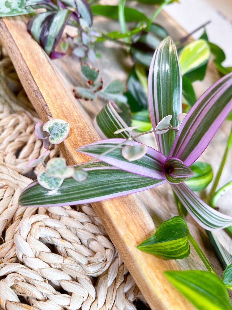 Unique Gift for Her Birthday Gift Box Friendship Gift Thank You Care