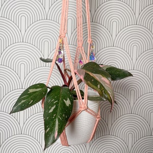 May include: A pink macrame plant hanger with crystal accents holds a white ceramic pot with a green and pink variegated plant.