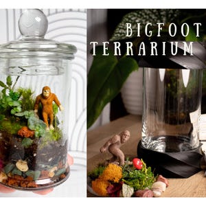 Terrarium Kit DIY Gift for Plant Lover Mini Terrarium with live moss, terrarium plants, zen garden diy kit terrarium gift for Dad