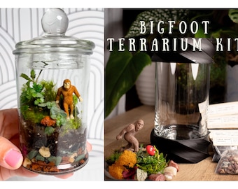 Terrarium Kit DIY Gift for Plant Lover Mini Terrarium with live moss, terrarium plants, zen garden diy kit terrarium gift for Dad