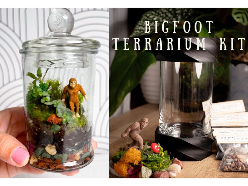 Terrarium Kit DIY Gift for Plant Lover Mini Terrarium with live moss, terrarium plants, zen garden diy kit terrarium gift for Dad image 1