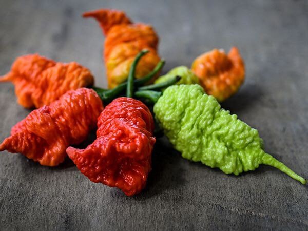 death spiral pepper