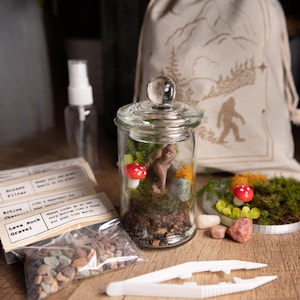 Terrarium Kit DIY Gift for Plant Lover Mini Terrarium with live moss, terrarium plants, zen garden diy kit terrarium gift for Dad Small Terrarium