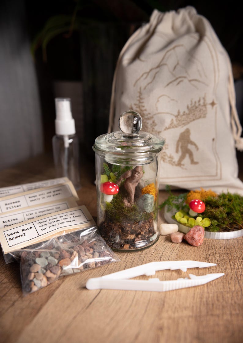 Terrarium Kit DIY Gift for Plant Lover Mini Terrarium with live moss, terrarium plants, zen garden diy kit terrarium gift for Dad Small Terrarium