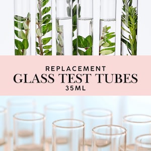 Replacement Glass Test Tubes 35ml | Plant Propagation Tubes | Herb Holder Glass Vials | Water Propagation Vases | Optional Cleaning Brush