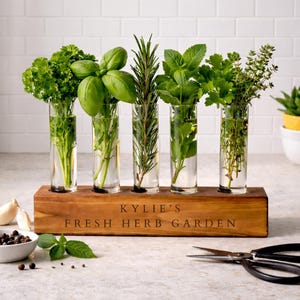 May include: A wooden herb garden with five glass tubes holding fresh herbs. The wooden base is engraved with "KYLIE'S FRESH HERB GARDEN". Parsley, basil, rosemary, mint, cilantro, and thyme are displayed. A pair of scissors and a bowl of peppercorns are in the foreground.