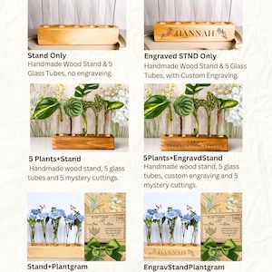 May include: A product display featuring a wooden stand with five glass tubes, available with or without custom engraving. Options include stands with plants and a greeting card. The text "GIFT OPTIONS" is at the top.