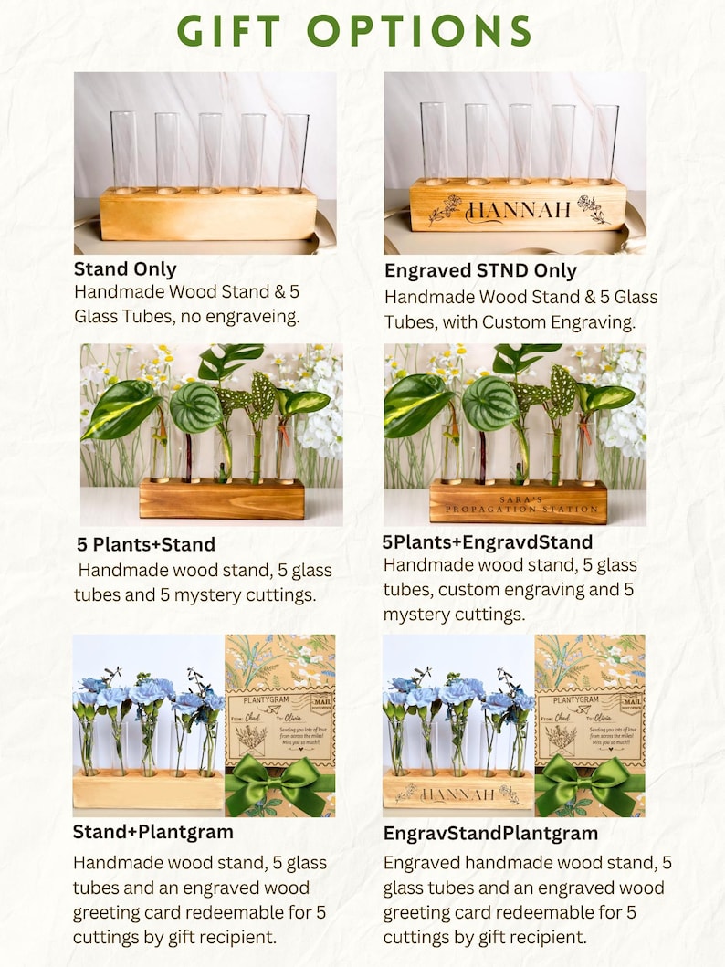 May include: A product display featuring a wooden stand with five glass tubes, available with or without custom engraving. Options include stands with plants and a greeting card. The text "GIFT OPTIONS" is at the top.