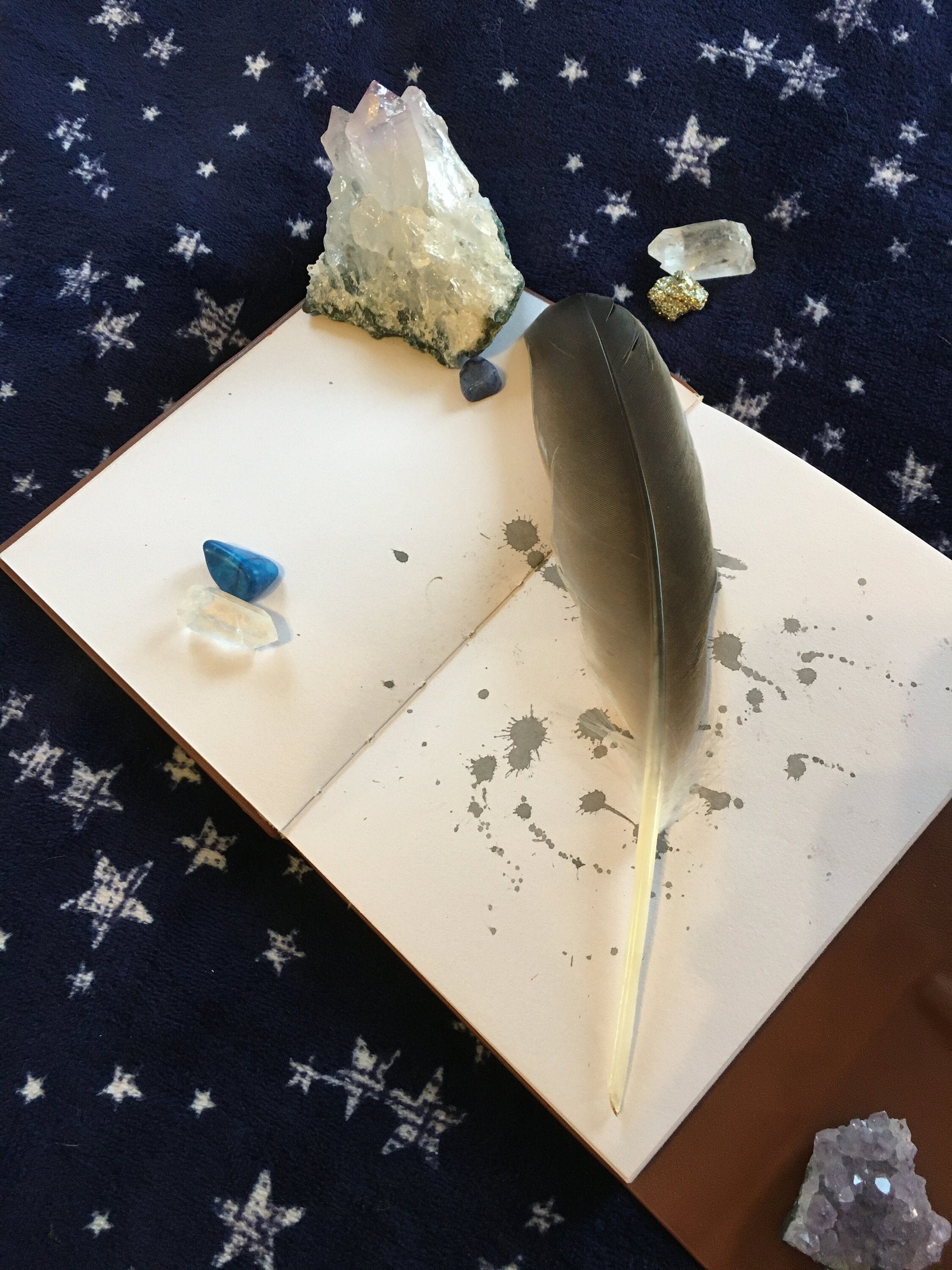 Real feather quill and ink | Etsy