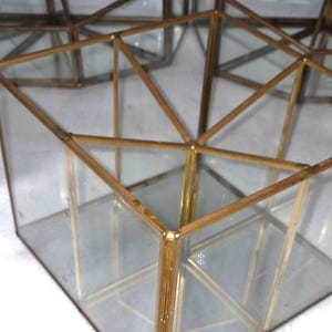 Op de afbeelding: Geometrisch terrarium van glas en messing. De heldere glazen panelen worden omlijst door dun, goudkleurig metaal. Het terrarium heeft een kubusvorm met driehoekige accenten. Er zijn meerdere terrariums zichtbaar, met een witte achtergrond.