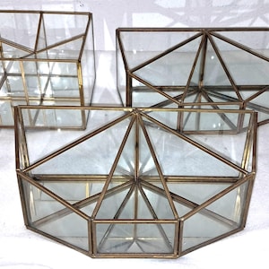 Op de afbeelding: Drie geometrische glazen terrariums met messingkleurige metalen frames. De terrariums hebben verschillende vormen, waaronder een kubus, een rechthoekig prisma en een vijfhoekige vorm. Het glas is helder en de frames zijn warm goudkleurig.