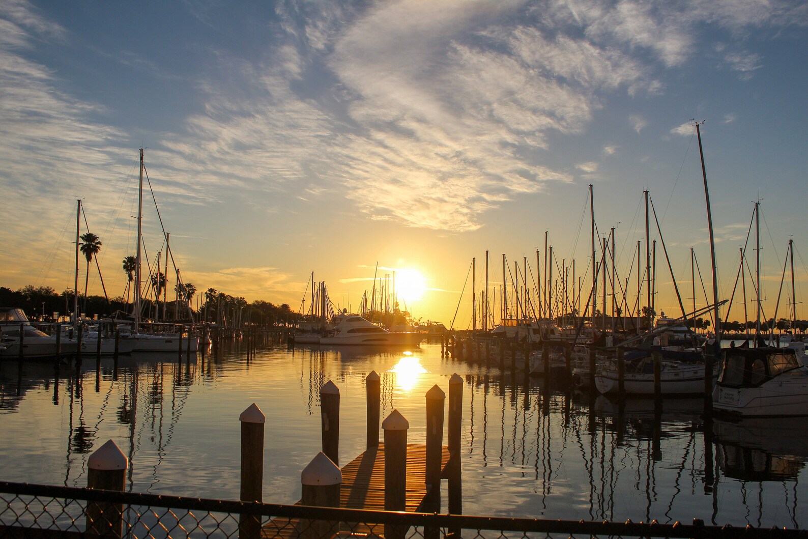 St. Petersburg Municipal Marina, St. Petersburg, FL, 2017 Digital Photo