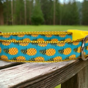 May include: A blue and yellow dog collar with a pineapple pattern. The collar has a gold trim and a silver buckle.