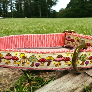 Mushroom Land Dog Collar