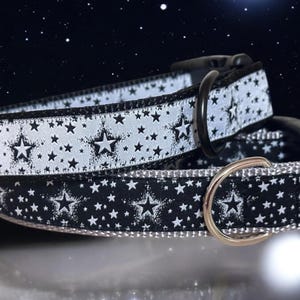 Starry Starry Night Dog Collar