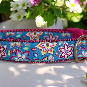 A Floral Dog Collar