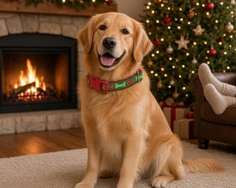 May include: A golden retriever dog sitting upright, wearing a green fabric collar with a red plastic buckle and a repeating pattern of small red and white bone shapes. The dog has long, light golden fur and is facing forward.