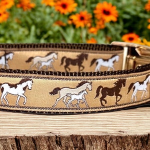 Horse Dog Collar/Equestrian Dog Collar