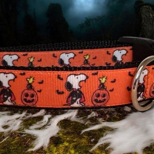 Vampire White Beagle Dog Collar