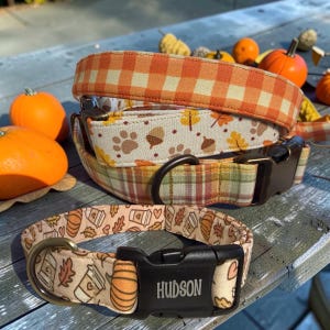 May include: Two fabric pet collars with metal hardware. One collar features an orange and white gingham pattern, while the other displays a cream background with autumn-themed prints including acorns, leaves, pumpkins, and coffee cups with the name HUDSON.