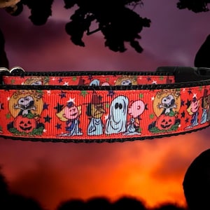 Halloween Dog Collar: Fall Seasonal Fun