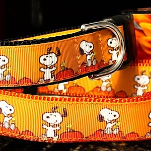 White Beagle Fall Dog Collar: Pumpkin Patch Design, Handmade