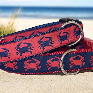Feeling crabby dog collar, summer collar, blue crabs
