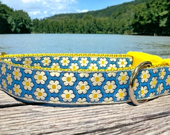 Daisies on Blue Dog Collar