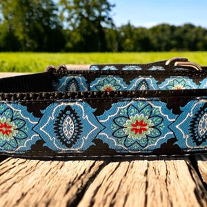 Blue dog collar and Optional 6ft leash