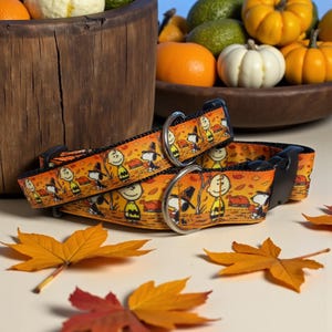 Americas Favorite Beagle Celebrates Thanksgiving