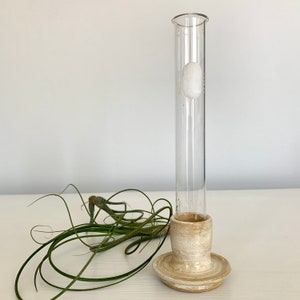 Antique Test Tube Bud Vase