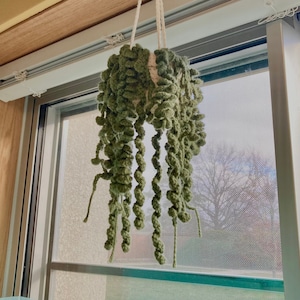 Crochet Hanging Plant Pot