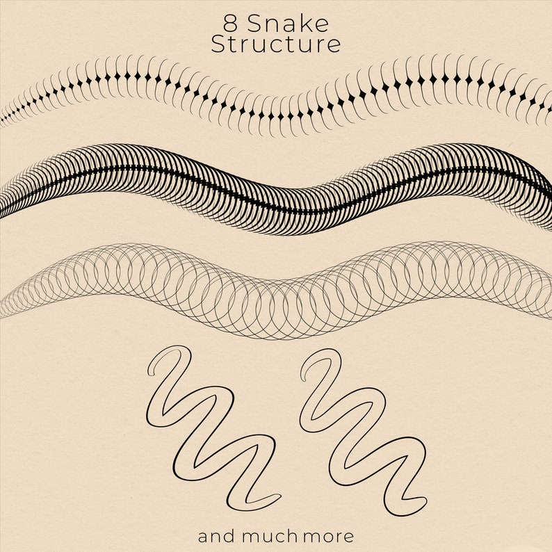 Segmented Snake Image 56 Snake Brushes for Procreate | Scales, Structure, Snake Body ...