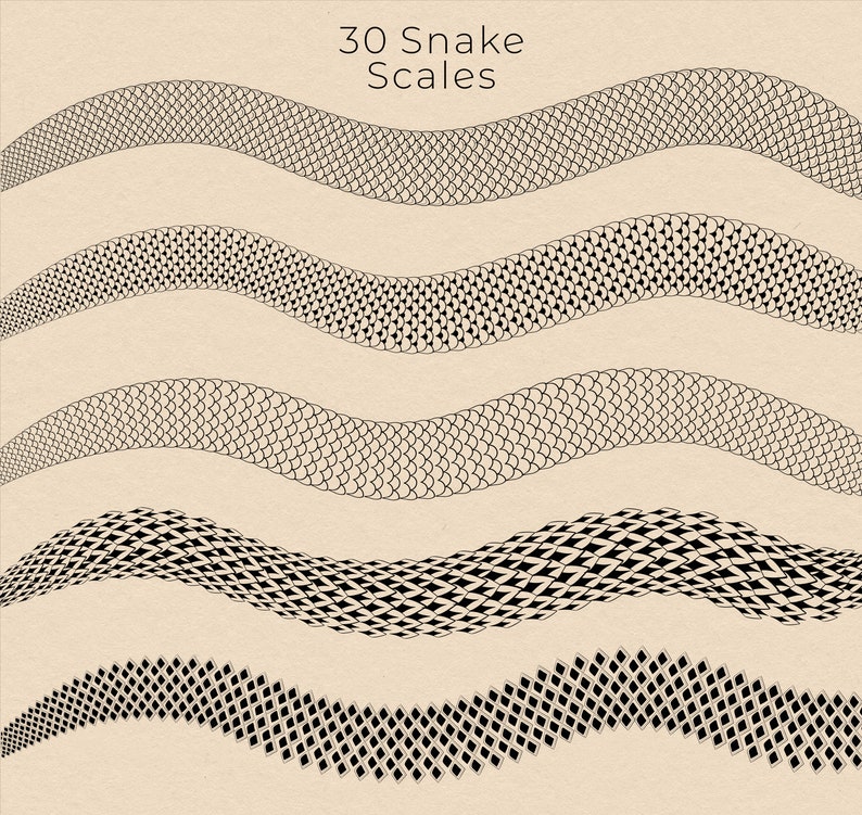 56 Snake Brushes for Procreate Scales Structure Snake Etsy