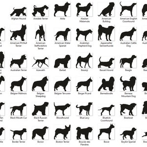 Hunde Silhouette SVG-Bundle mit 214 verschiedenen Hunderassen, enthält PNG- und SVG-Dateien für Cricut und Silhouette