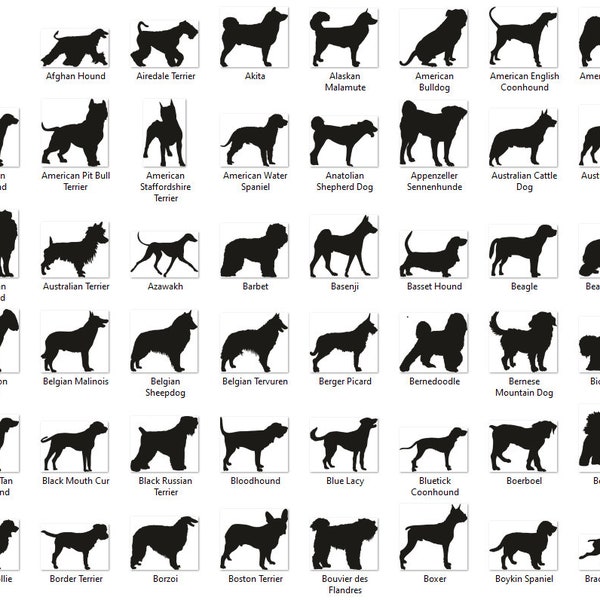 Hund Silhouette SVG Bundle mit 214 verschiedenen Hunderassen, enthält PNG und SVG Dateien für Cricut und Silhouette