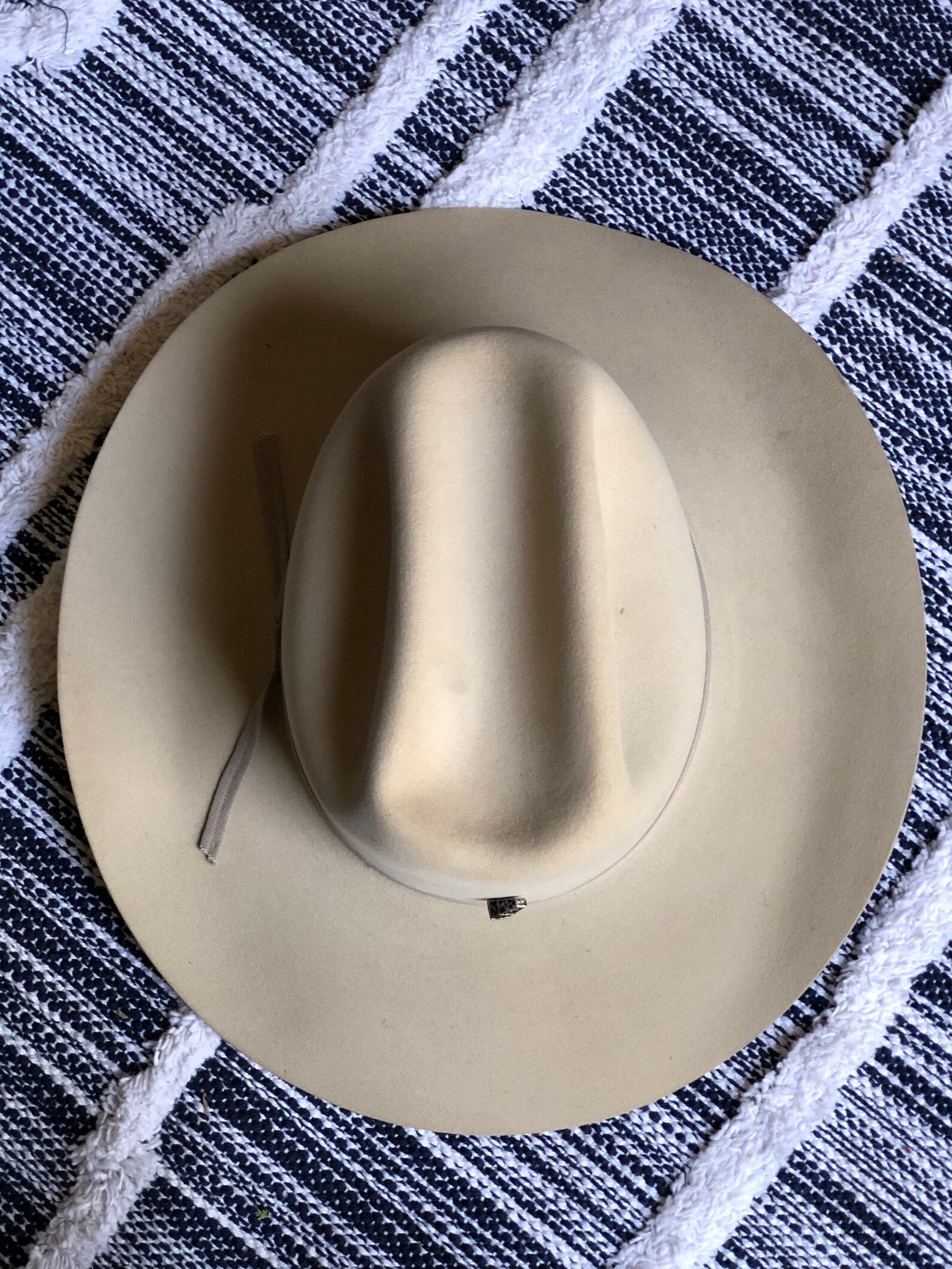 stetson 10x silverbelly