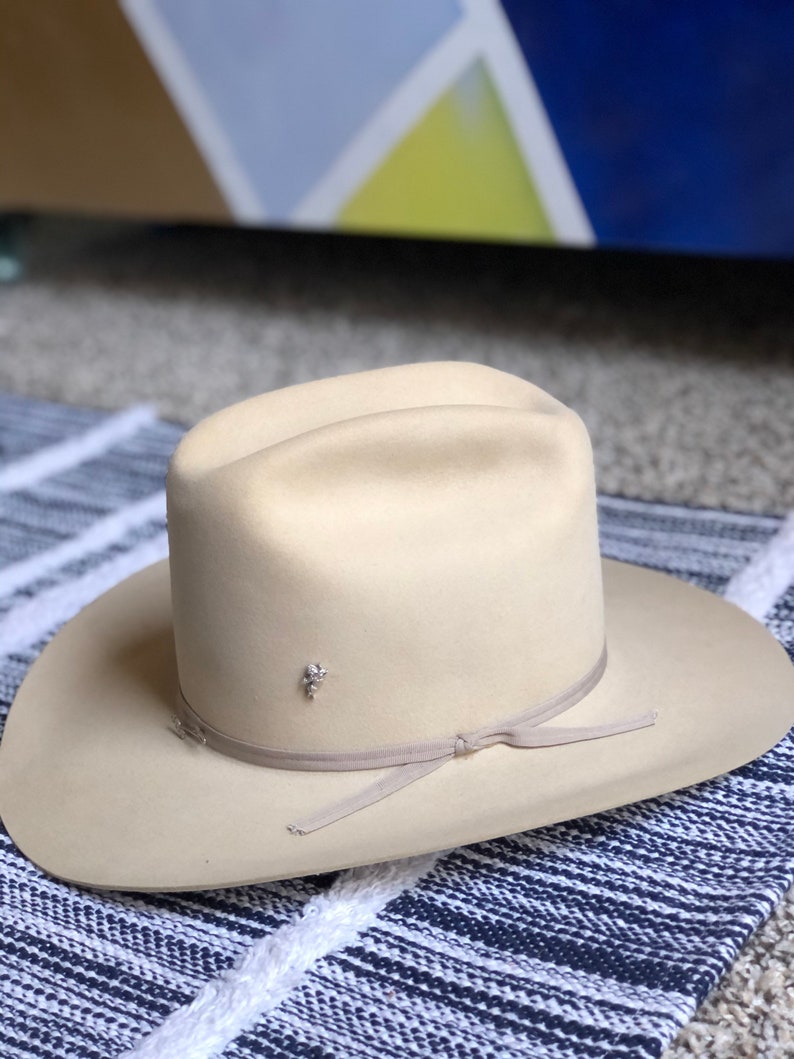 stetson 10x silverbelly