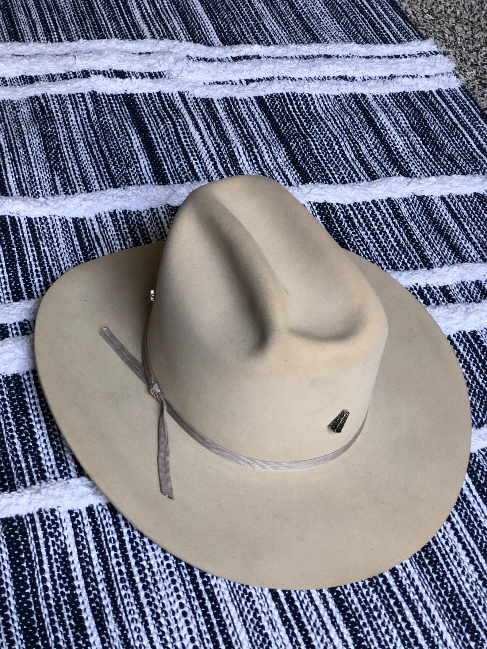stetson 10x silverbelly