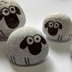 Scottish Cobble sheep